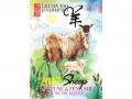 Fortune and Feng Shui 2017 for Sheep