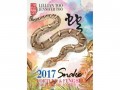 Fortune and Feng Shui 2017 for Snake