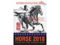 Astrology and Feng Shui Forecast 2018 for Horse