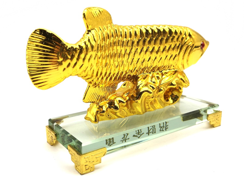 Wealth Inviting Feng Shui Golden Arowana Dragon Fish