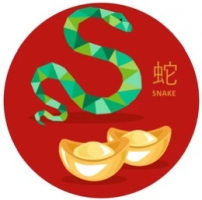 Feng Shui Horoscope 2022 Outlook for Snake