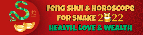 Feng Shui Horoscope 2022 for Snake