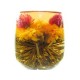Blooming Flower Tea - Good Things Come in A Pair (7 pieces)
