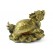 Brass Dragon Tortoise on Treasure