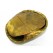 Brass Tortoise Shell for Health & Fortune Telling