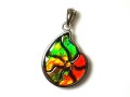 Canadian Ammolite Shell Shape Pendant with 925 Silver Frame