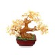 Citrine Crystal Tree to Attract Wealth