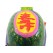 Longevity Feng Shui Dragon Tortoise (colorful)