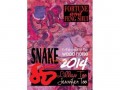 Fortune and Feng Shui 2014 for Snake