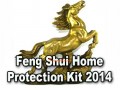 2014 Feng Shui Home Protection Kit