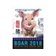 Astrology and Feng Shui Forecast 2018 for Boar