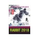 Astrology and Feng Shui Forecast 2018 for Rabbit