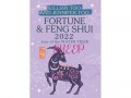 Fortune and Feng Shui Forecast 2022 for Sheep