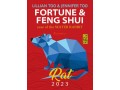 Fortune and Feng Shui Forecast 2023 for Rat
