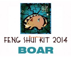 2014 Feng Shui Kit - Horoscope Boar