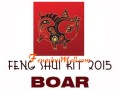 2015 Feng Shui Kit - Horoscope Boar