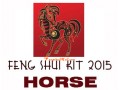 2015 Feng Shui Kit - Horoscope Horse