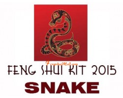 2015 Feng Shui Kit - Horoscope Snake