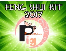 Feng Shui Kit 2017 for Boar
