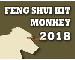 Feng Shui Kit 2018 for Monkey