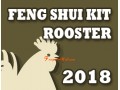 Feng Shui Kit 2018 for Rooster