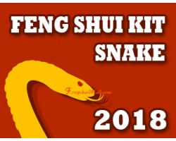 Feng Shui Kit 2018 for Snake