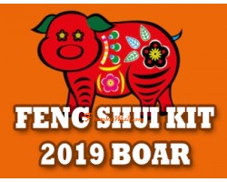 Feng Shui Kit 2019 for Boar