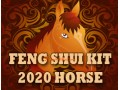 Feng Shui Kit 2020 for Horse