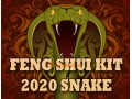Feng Shui Kit 2020 for Snake