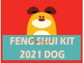 Feng Shui Kit 2021 for Dog V7