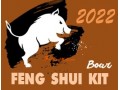 Feng Shui Kit 2022 for Boar