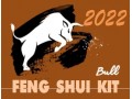 Feng Shui Kit 2022 for Ox (V6)