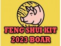 Feng Shui Kit 2023 for Boar