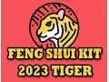 Feng Shui Kit 2023 for Tiger