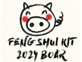Feng Shui Kit 2024 for Boar (V2)