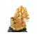 Feng Shui Three Legged Toad with Money Tree