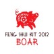 Feng Shui Kit 2012 for Boar