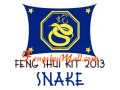 Feng Shui Kit 2013 - Horoscope Snake