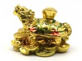 Golden Feng Shui Dragon Tortoise