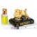 Golden Pi Xiu for Wealth Luck with Air Freshener