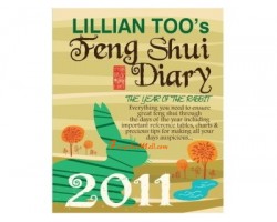 Feng Shui Diary 2011