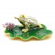 Lucky Money Frog On Waterlily Leaf