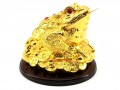 Ultra Rich Golden Feng Shui Money Frog