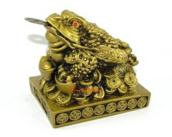 Wealthy Feng Shui Money Frog on Bed of Coins