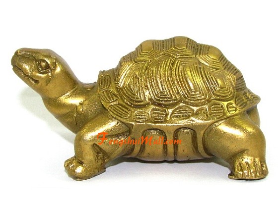 Brass copper tortoise furnishing articles feng shui turtle god turtle 