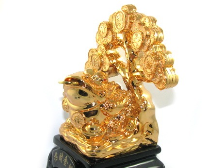 Feng Shui Money Frog with Money Tree