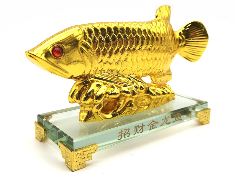 The Arowana will bring out your best characteristics and allow you 