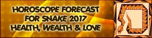 Feng Shui Horoscope 2017 Forecast for Snake
